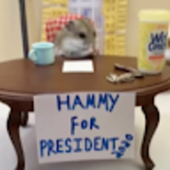 Meet your Posher, Ehsaan - Picture 1 of 1